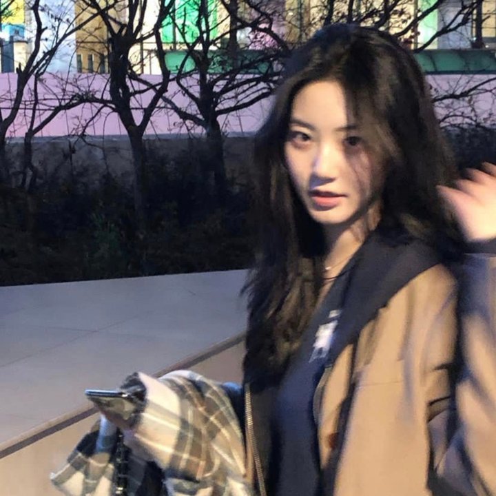 金猪玉叶第二季